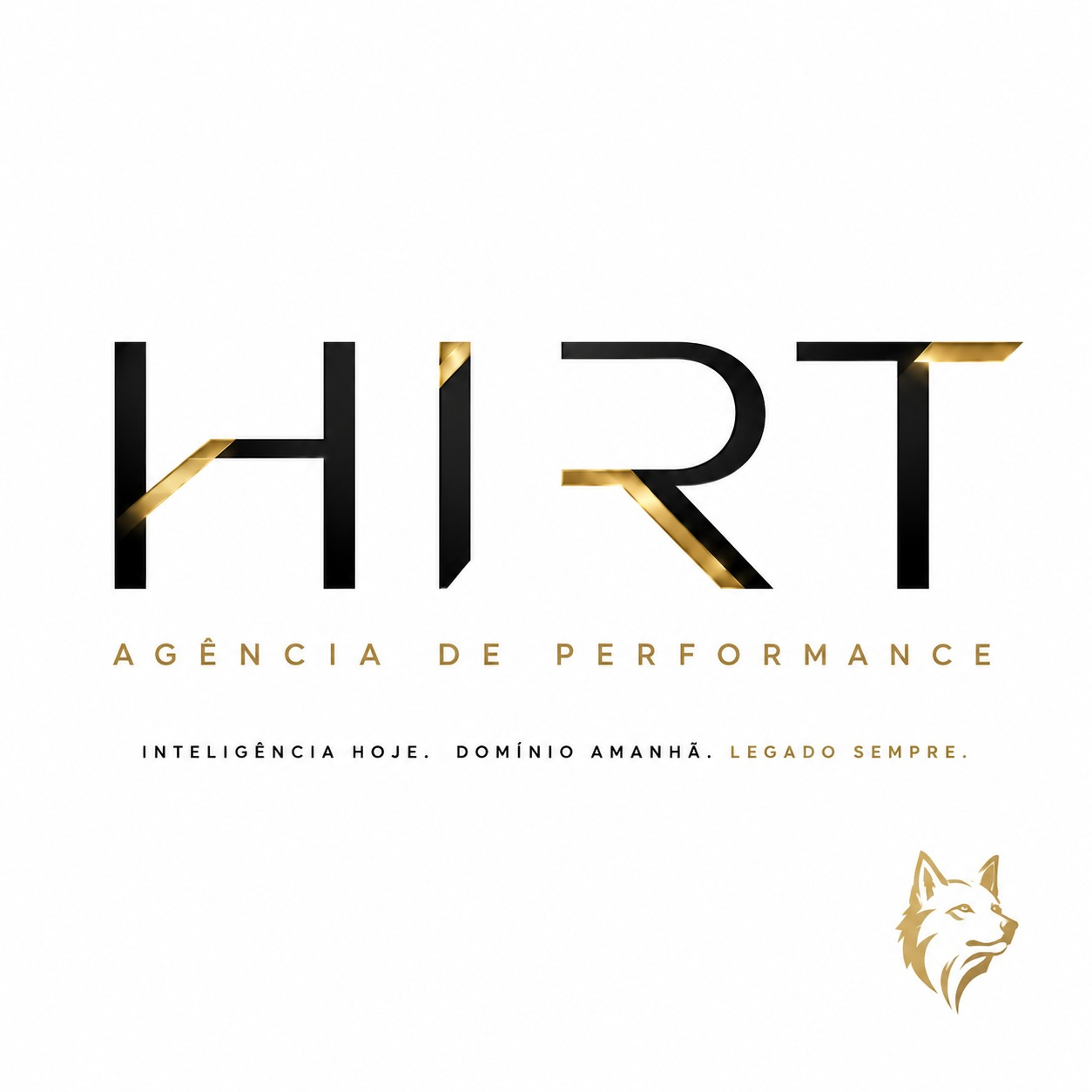HIRT Agência de Performance